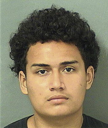 Damerson Espinoza, - Palm Beach County, FL 